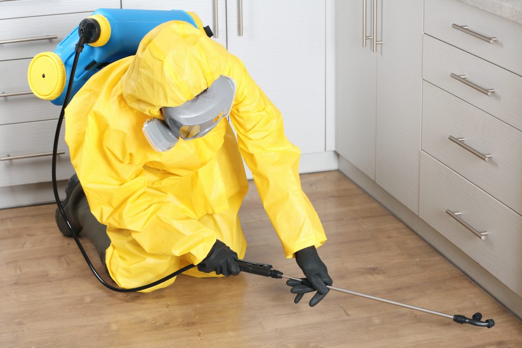 Pest Control in Celina TX
