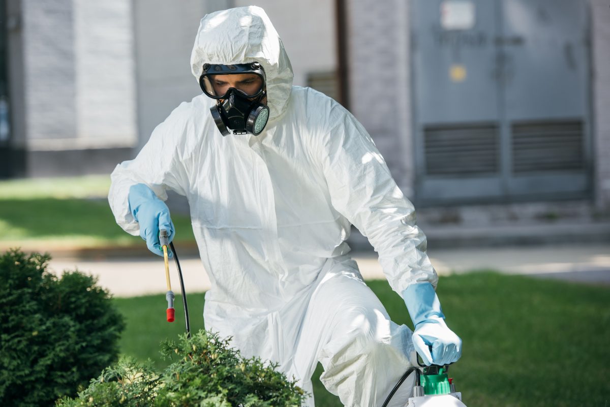 Pest Control Services in Celina TX