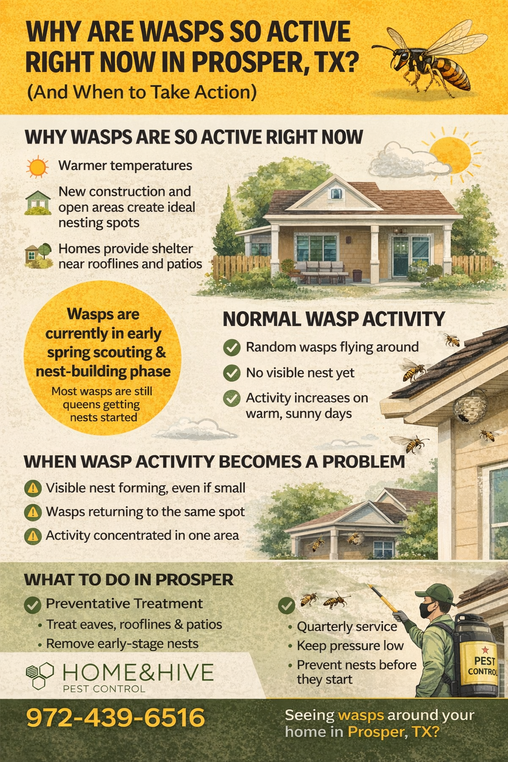 Wasp activity infographic explaining normal vs problem wasp behavior in Prosper Texas